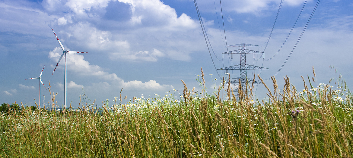 Langfriststrategie für eine klimaschonende Energieversorgung von Rheinland-Pfalz, Deutschland